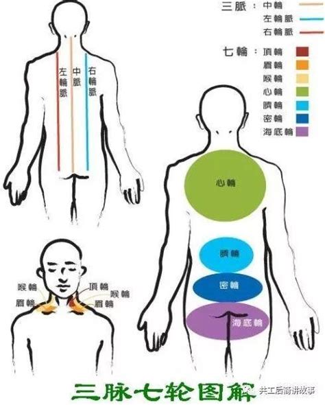 中脈位置|修佛道人必知的三脈七輪理論（圖文解說）